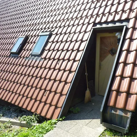 Vorauf Föhren 11 *