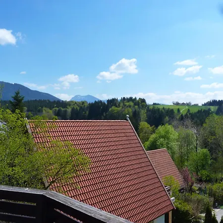 Vorauf Föhren 11 *